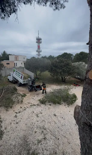 Camion benne et matériel d'évacuation sur un chantier d'abattage
